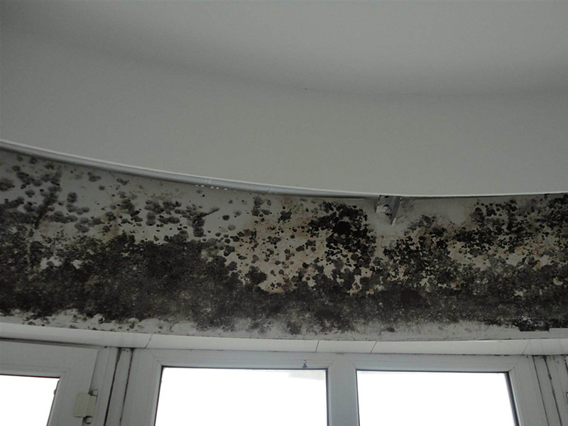 梅雨季節(jié)墻壁發(fā)霉怎么處理，為大家整理的小竅門來了